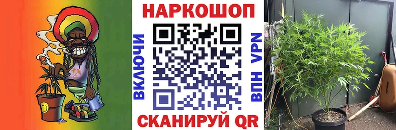 Где купить Алексин КОКАИН  Лсд 25  СОЛЬ  Псилоцибиновые грибы  ГАШ  Меф 