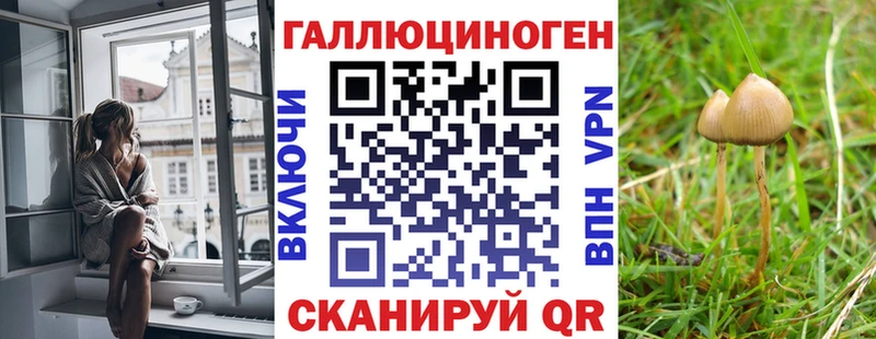 площадка Telegram  где можно купить   Алексин  Псилоцибиновые грибы прущие грибы 